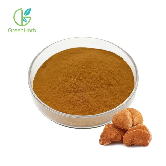 Pure Lion's Mane Mushroom Powder